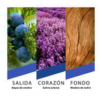 New York  100ml-225885 New York  100ml-225885 2